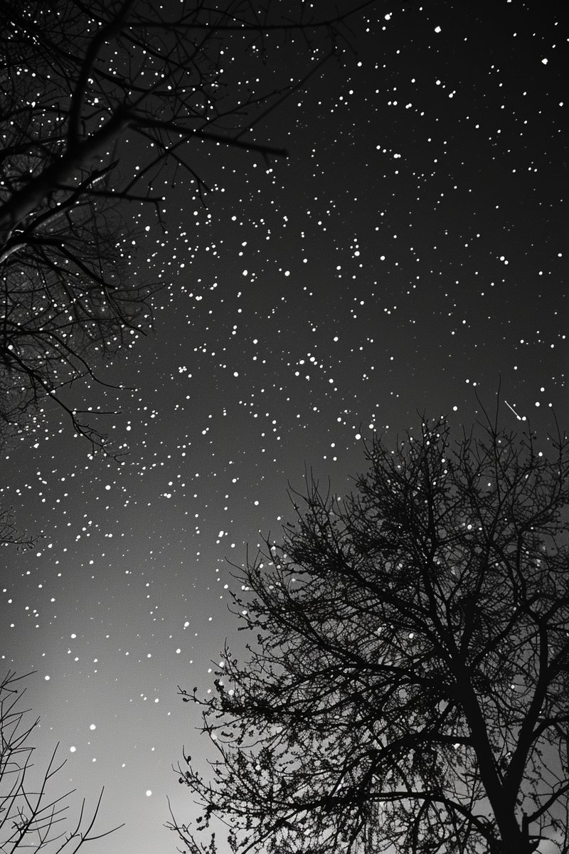 Sterrenhemel Poster - Zwart Wit - Nacht - Maanlicht - Sterren - Kosmos - Sterrenkijken - posters - formaat 30x40cm - Wanddecoratie - XS2597MW