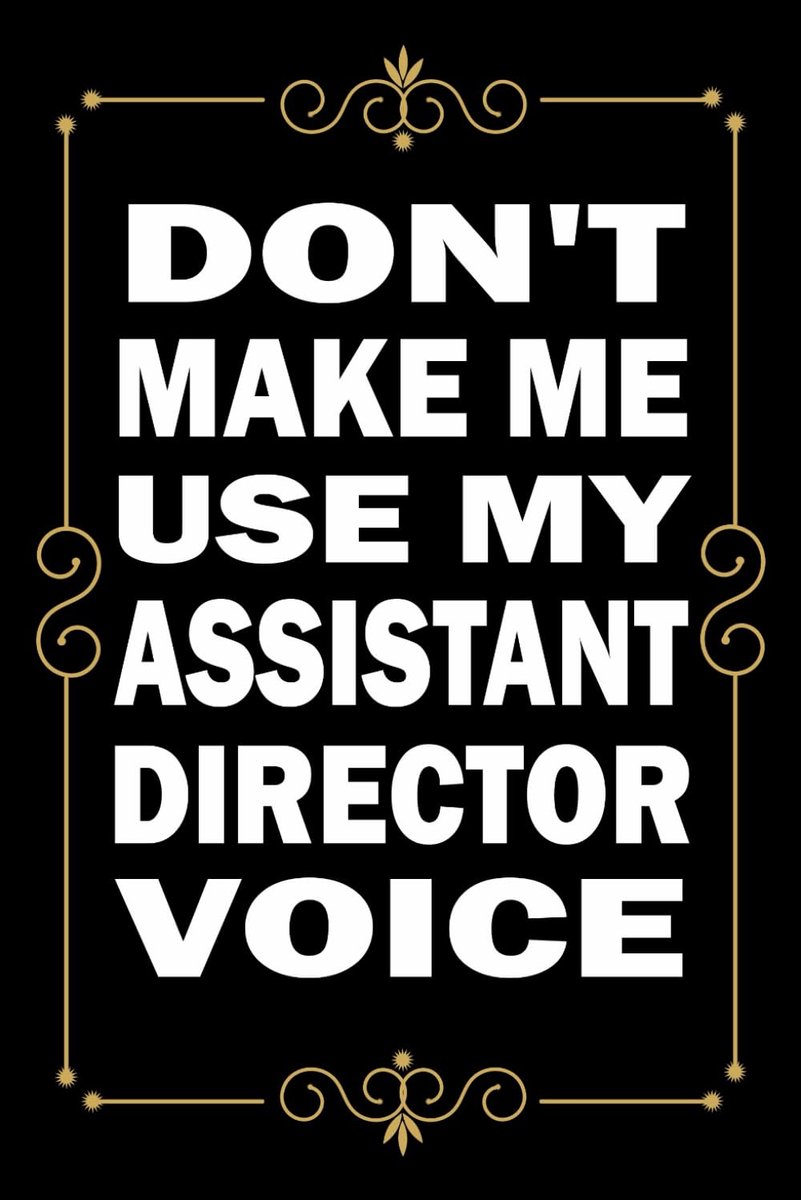 Don't Make Me Use My Assistant Director Voice: Great Blank Lined Notebook Journal For Assistant Director, Perfect For - ShopVlot