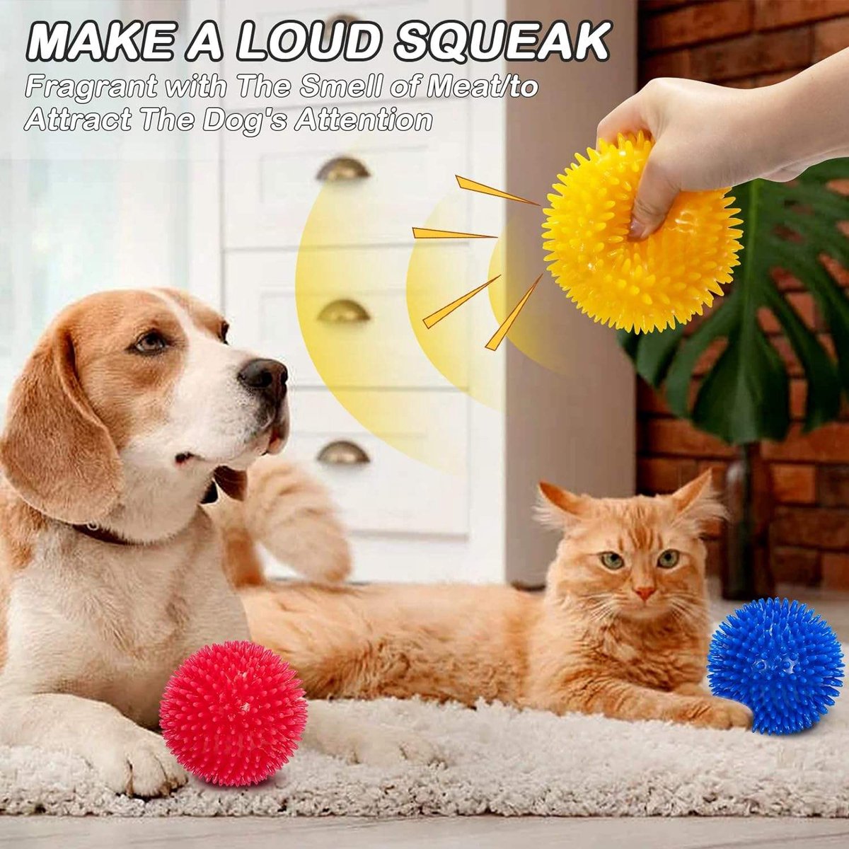 3 heel luide ballen voor honden