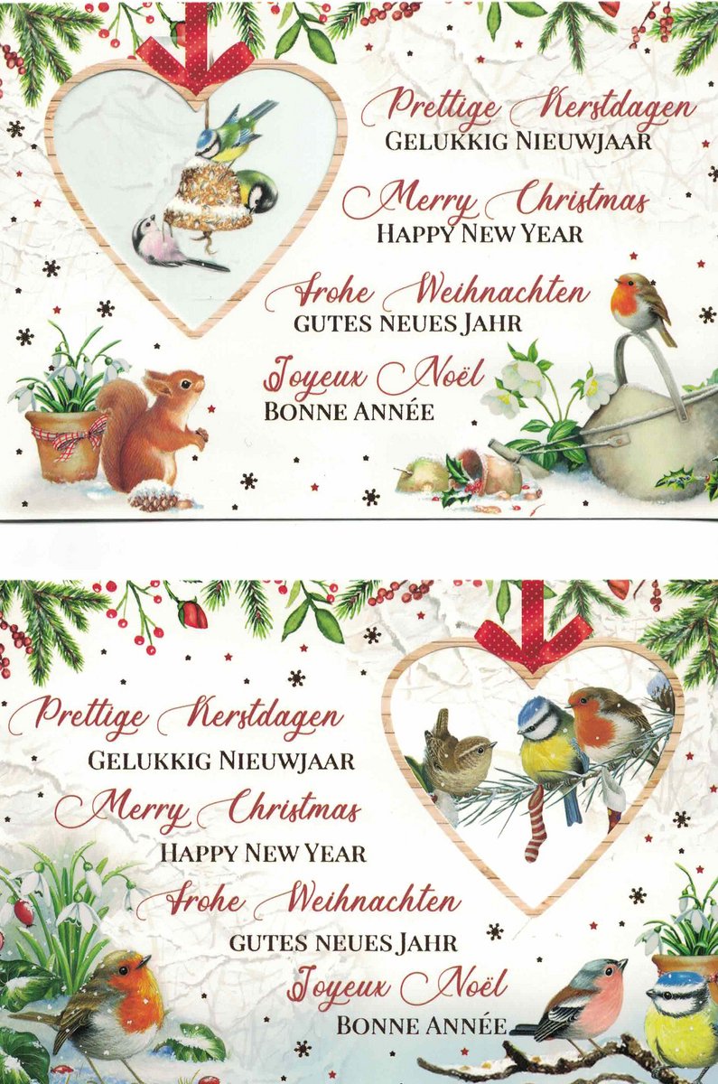 Wenskaarten - kerstkaart - set van 8 - 8 luxe kerstkaarten - 2 x 4 luxe kerstkaarten met envelop