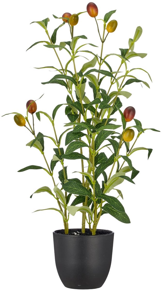 Gasper kunstplant olijfstruik groen 8 vruchten zwarte pot 48 cm