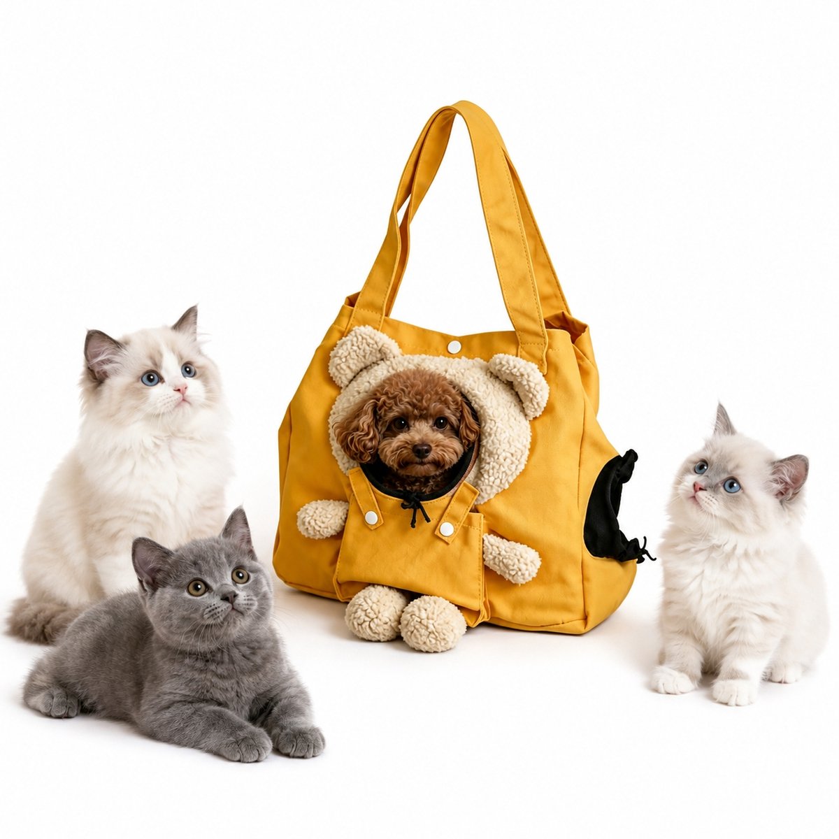 casalora-Hondentas – Transporttas voor kleine honden en katten – Teddybeerdesign – Boodschappentas met teddybeer – Draagtas – Schoudertas – Geschikt voor kleine honden en katten