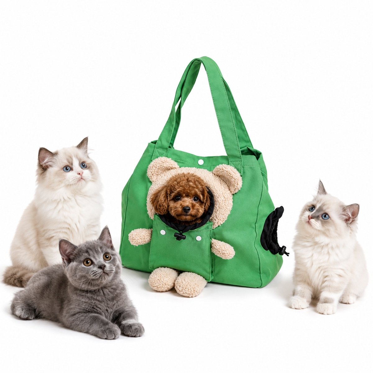 casalora-Hondentas – Transporttas voor kleine honden en katten – Teddybeerdesign – Boodschappentas met teddybeer – Draagtas – Schoudertas – Geschikt voor kleine honden en katten