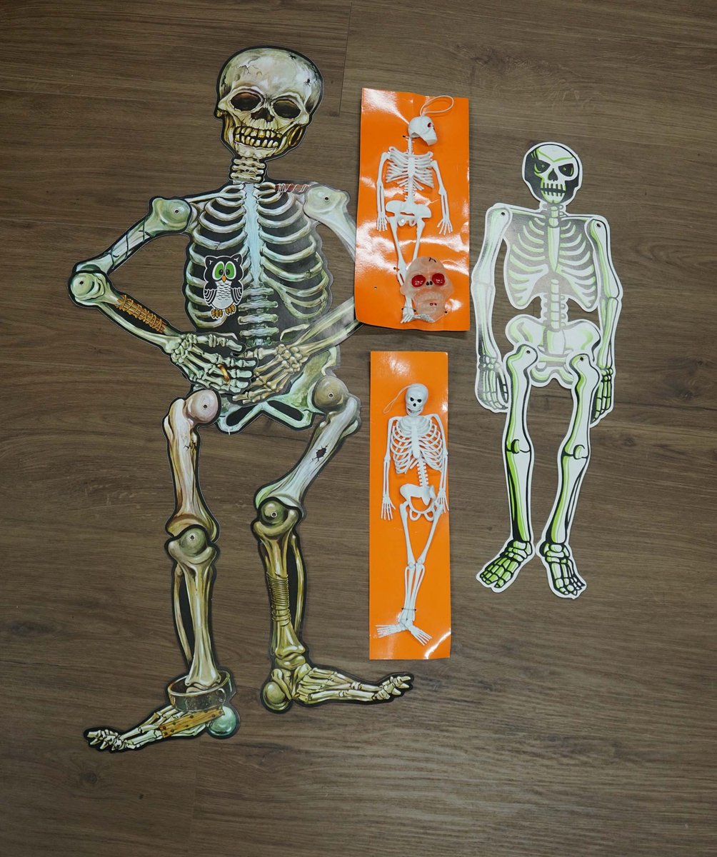 Skeletten halloween decoratie - meerder verschillende soorten geraamtes - halloween geraamtes - griezel feest accessoires - feestartikelen halloween - skelet in verschillende maten en materialen