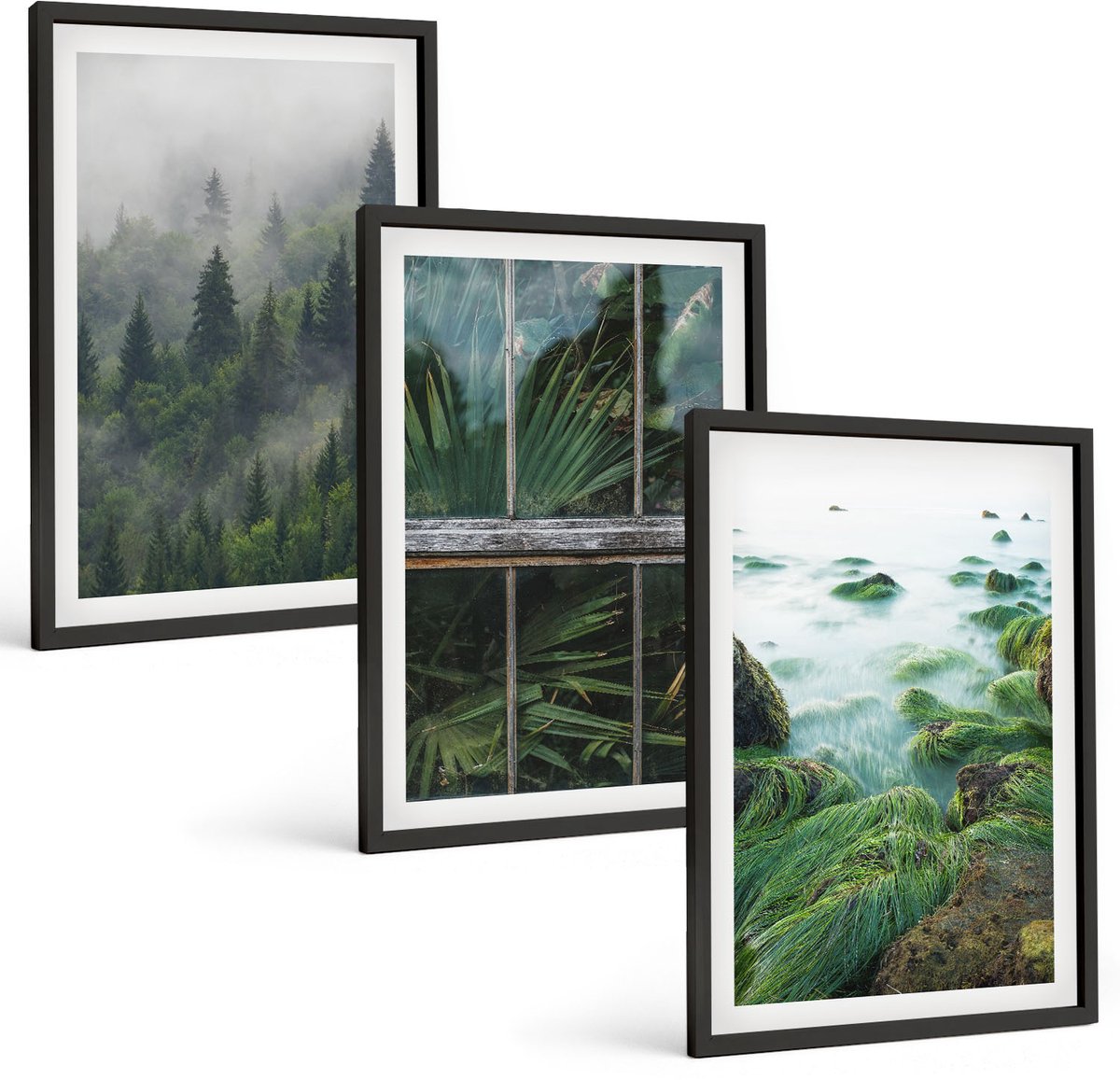 Coloray 3-Delige Schilderij Set - Bos In De Mist, Rivieroever En Kas Met Planten - 40 x 60 cm - Stijlvolle Muurdecoratie - Slaapkamer - Woonkamer Decoratie
