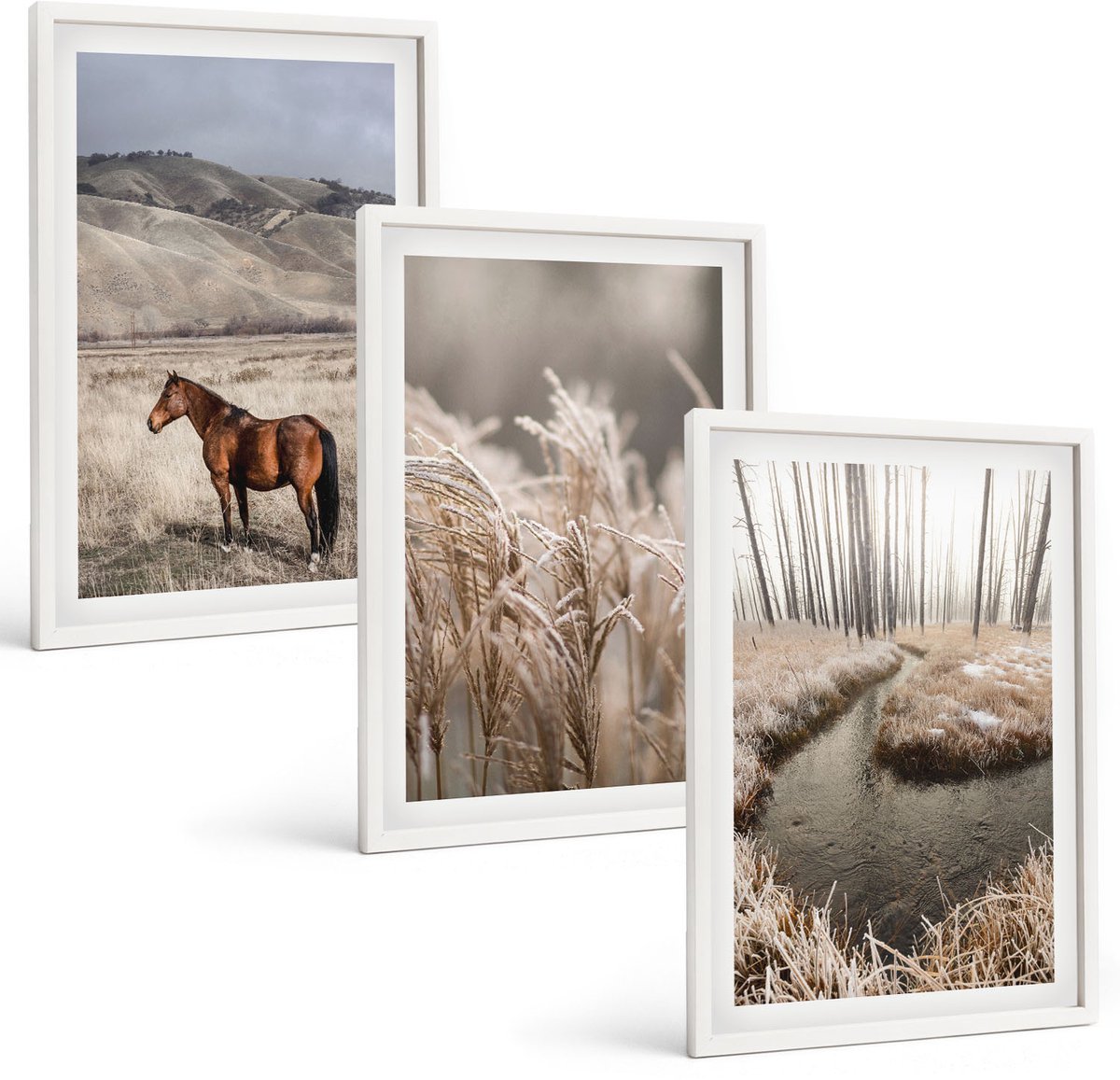 Coloray 3-Delige Schilderij Set - Paarden In Een Landschap Met Grassen En Een Winterbeek. - 40 x 60 - Stijlvolle Muurdecoratie - Slaapkamer