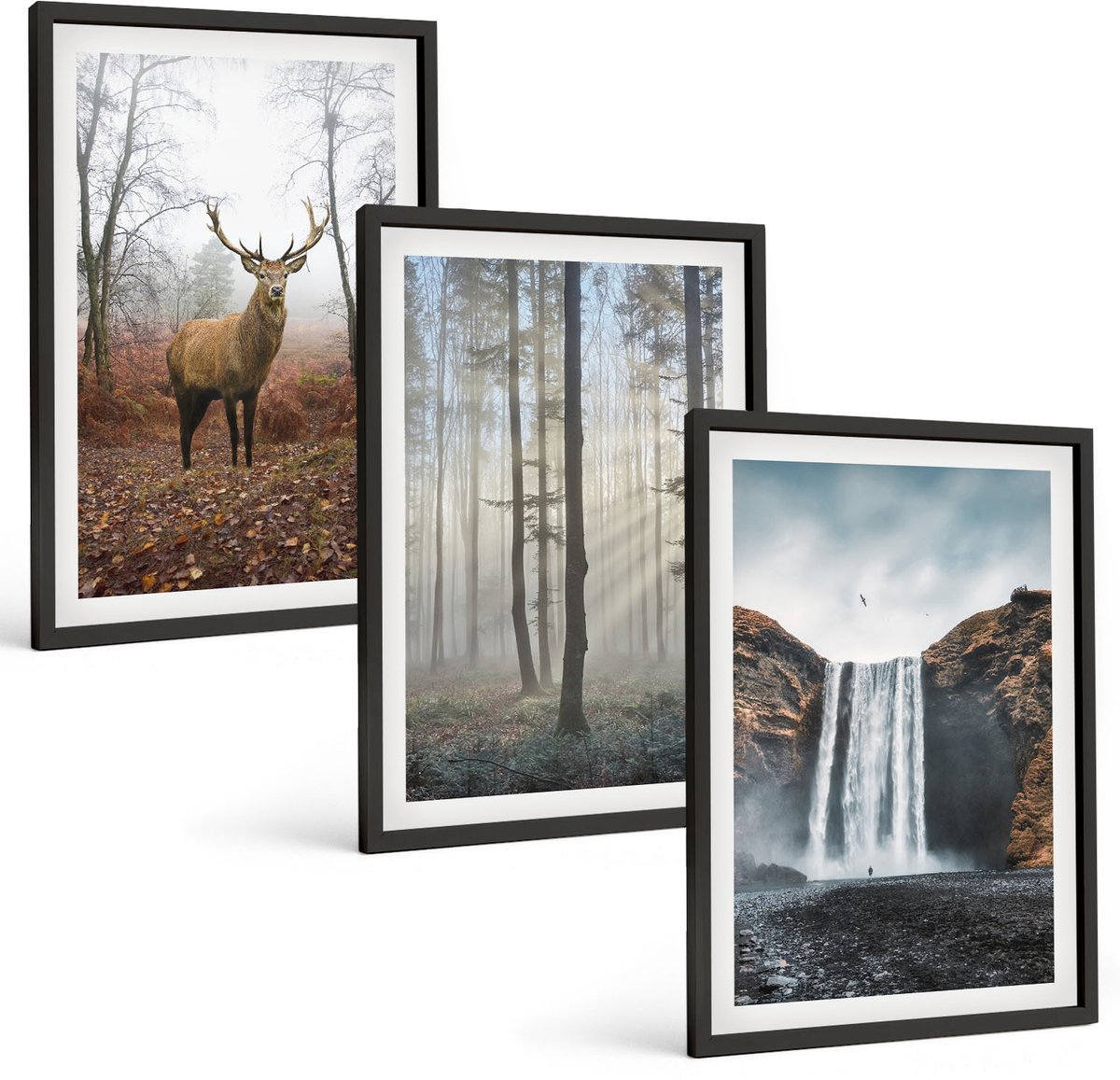 Coloray 3-Delige Schilderij Set - Boslandschappen Wilde Natuur Herten - 40 x 60 cm - Muurdecoratie - Wanddecoratie - Slaapkamer - Woonkamer Decoratie