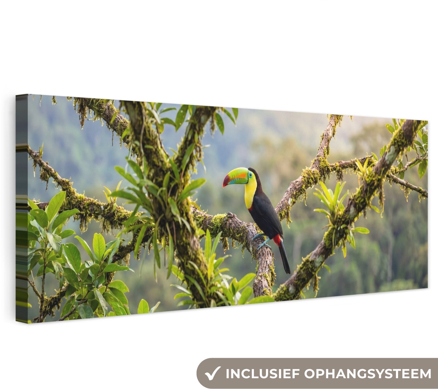 Canvas schilderij 90x30 cm - Exclusieve wanddecoratie Toekan - Jungle - Natuur - Kleurrijk - Muurdecoratie woonkamer - Slaapkamer decoratie - Kamer accessoires - Schilderijen op canvas