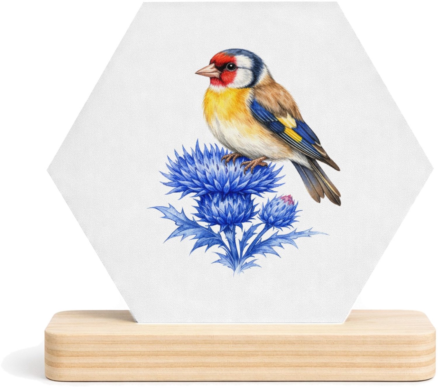 Mr Cadeautjes MDF fotolijst/inleg hexagon 14 x 13 - design Klassieke botanische vogelprint met een andere tuinvogel en | cadeau Wit