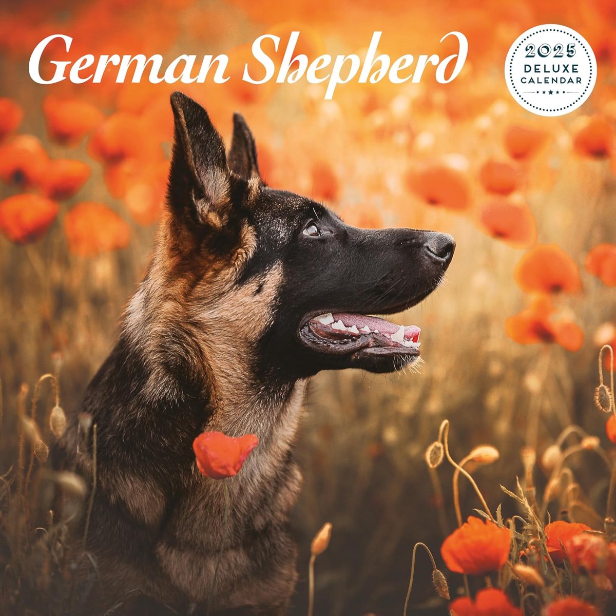 Herder 2025 Deluxe kalender
