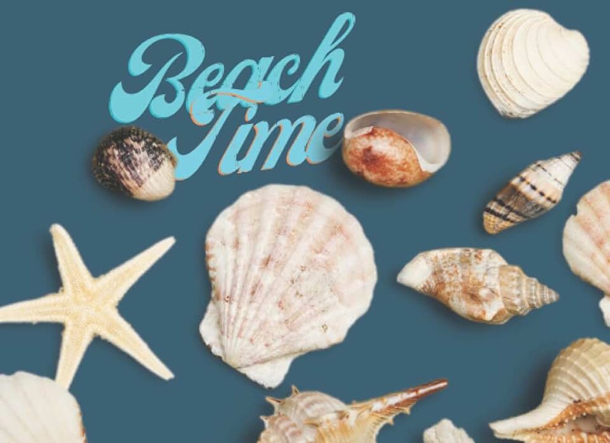 Holidays Visitor Guest Book / Sign In Log Book For Vacation Rentals, AirBnB, Bed & Breakfast, Beach House, Guest House & More ... Cover (Welcome Visitor Guest Book Series) Paperback