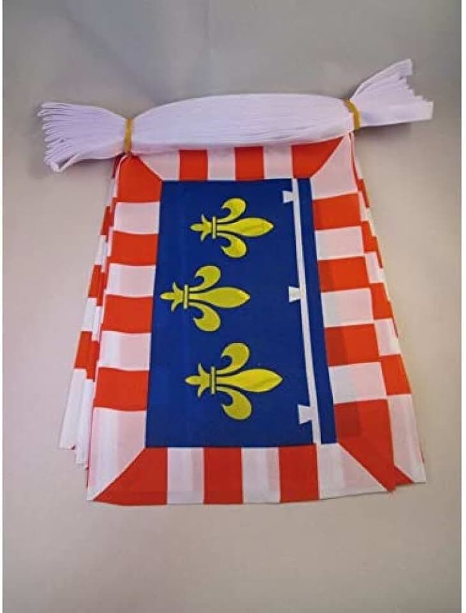 Licht Polyester 21x15 cm | Binnen en buiten vlaggenlijn vlaggen op verstevigde band gestikt