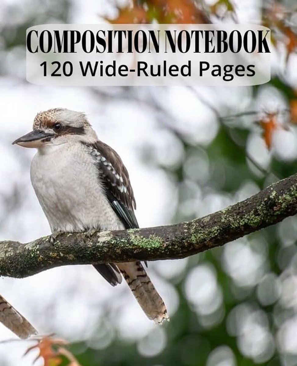 MY COMPOSITION NOTEBOOK
