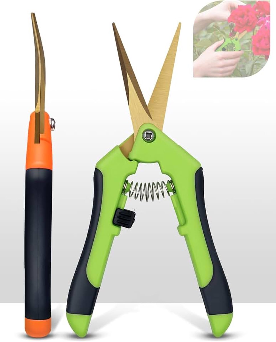 2 stuks kleine snoeischaar met gebogen, titanium gecoate messen, nauwkeurig snijden, ergonomische handgreep, bonsaischaar, plantenschaar voor bloemen, fruit, groenten, heggen (groen en oranje