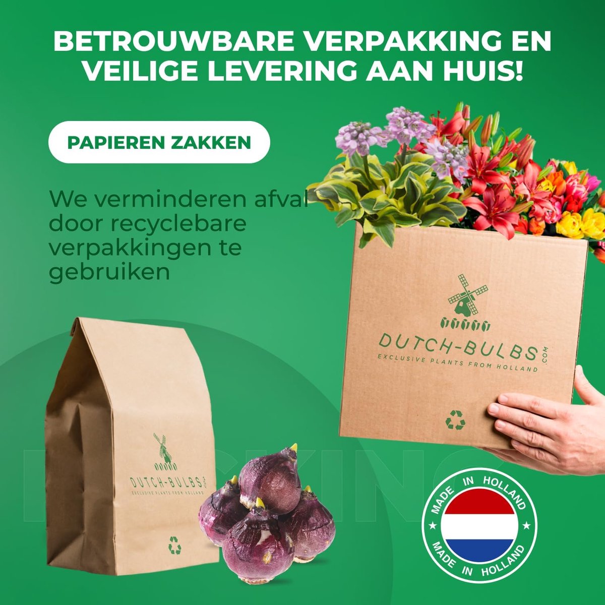 (15 uien), geurende hyacintencollectie, 3 soorten/kleuren
