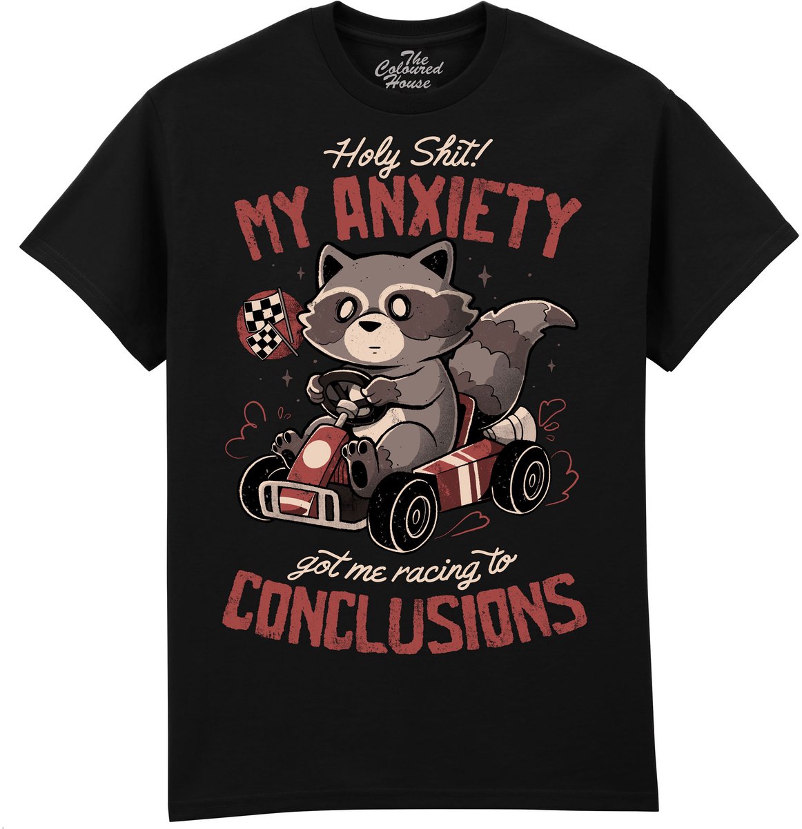 Racing To Conclusions The Coloured House T-shirt M