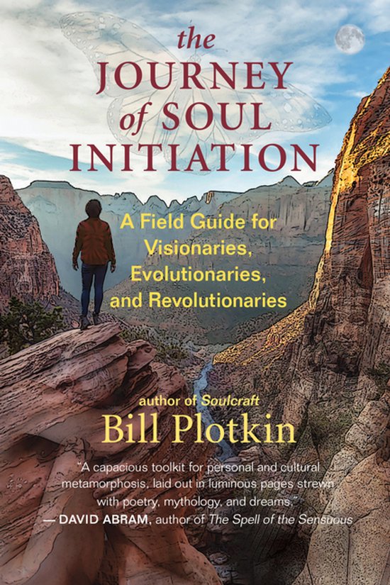 Boekcover 'The Journey of Soul Initiation', een veldgids voor visionairs, evolutionairs en revolutionairs. Met een persoon op een rots in een berglandschap.