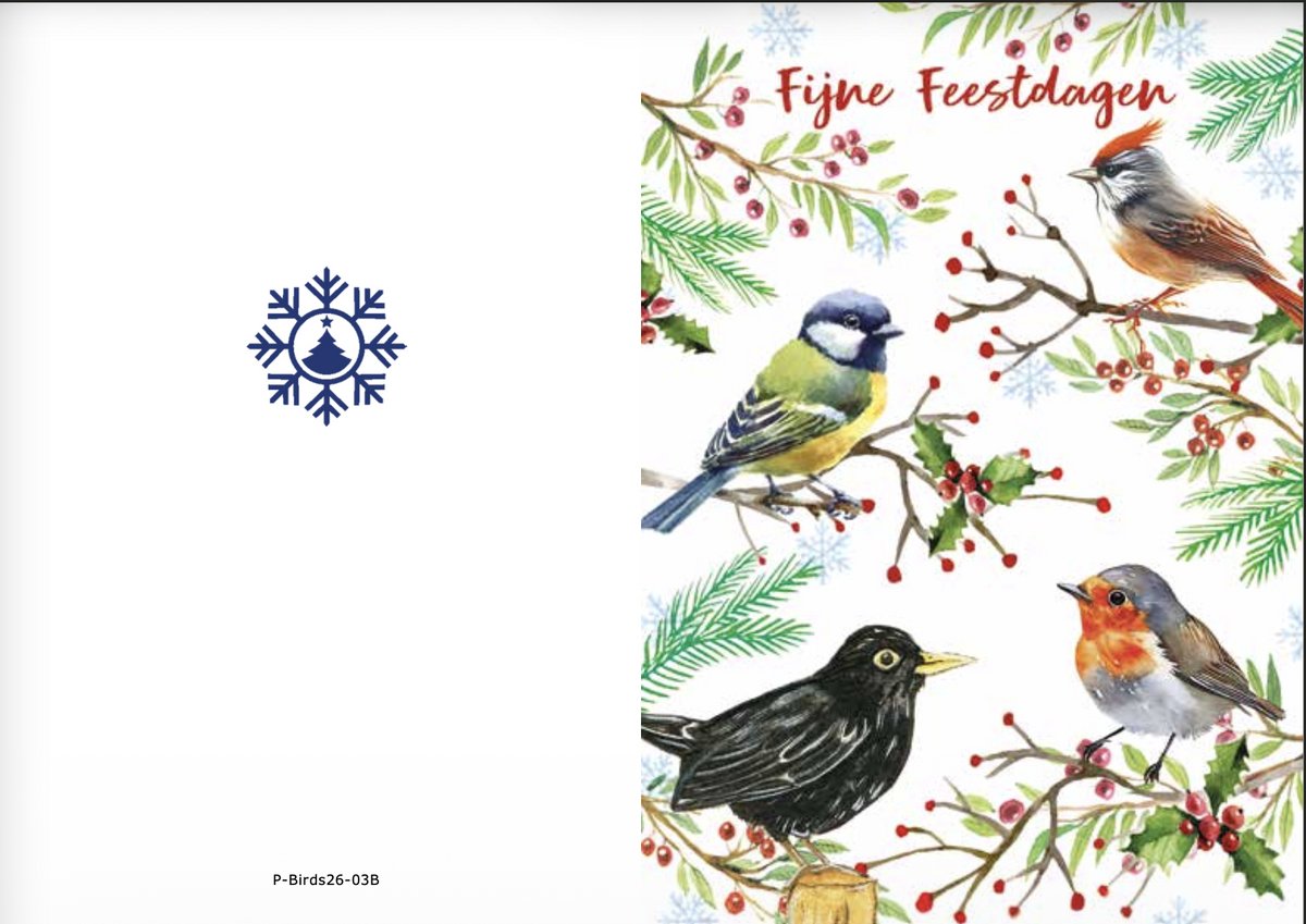 Kerstkaarten box Birds 1
