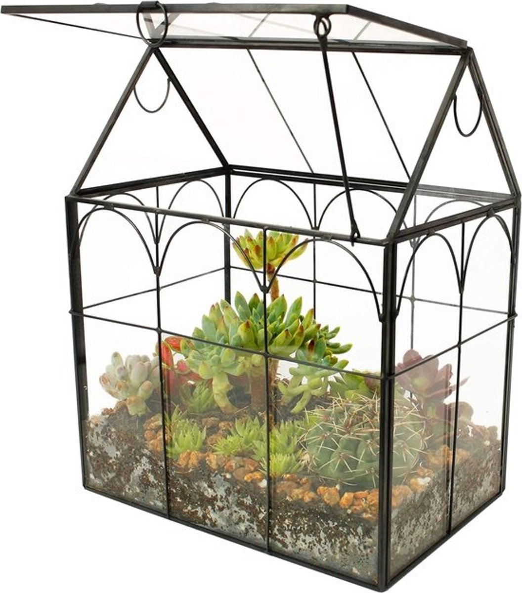 Succulent Terrarium - Vetplant - Huisvorm - Handgemaakt - 1 stuk - Doorzichtig - Glas