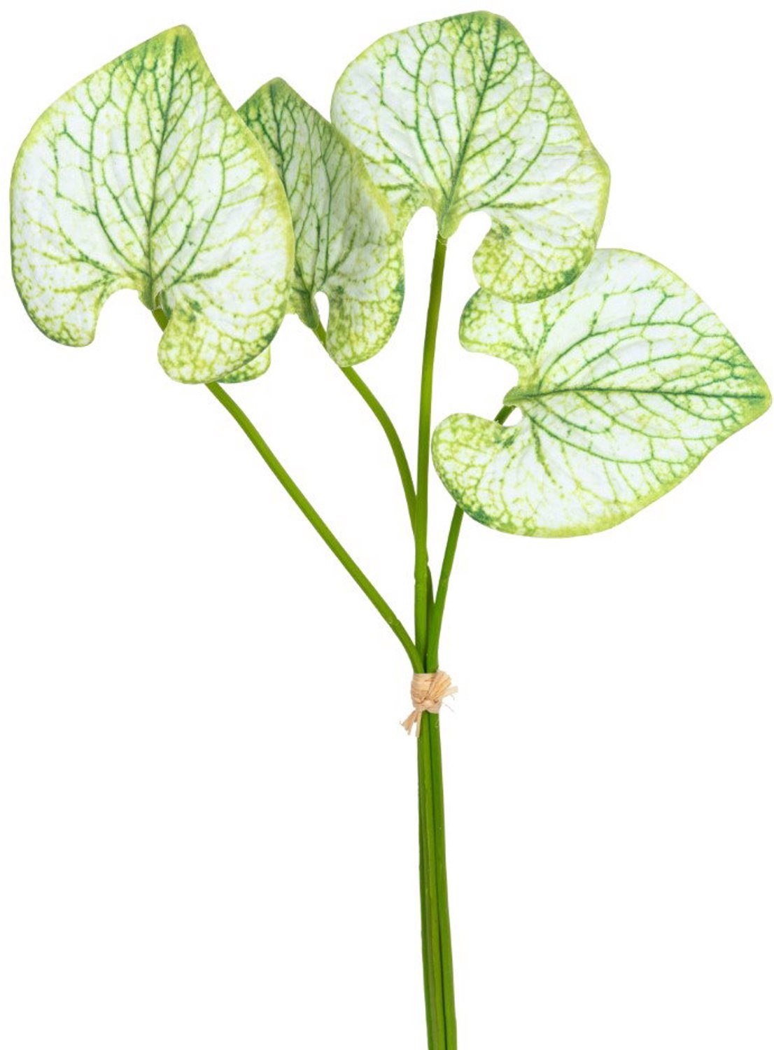 Caladium bundel h40 cm groen/wit kunstbloemen Louis Maes