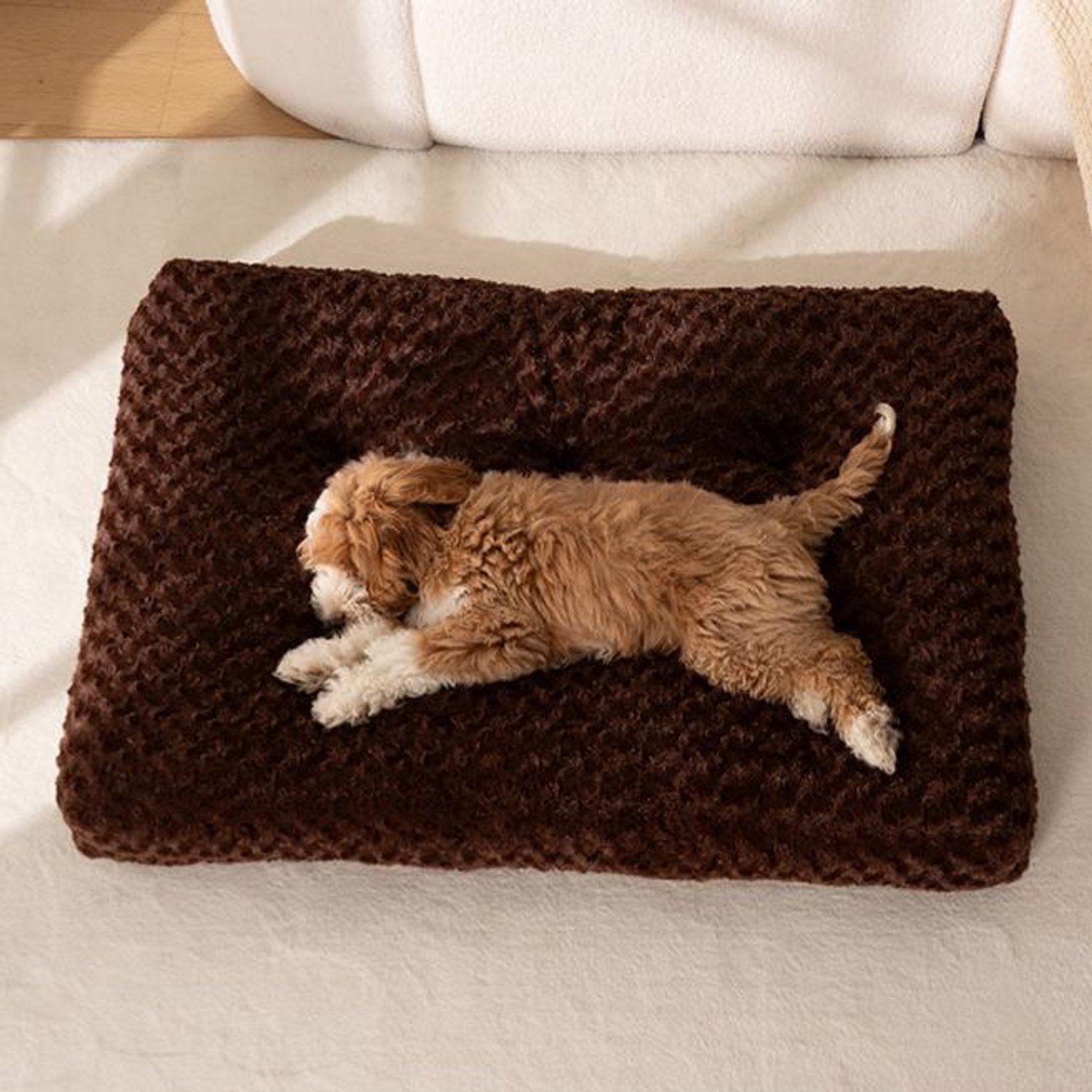 Hondenbed Pluche – Zacht en Warm Hondenkussen voor Kleine Honden en Katten – Winterse Rustplek met PP-Katoenen Vulling en Antislip Onderzijde – Bruin – 85 × 60 × 10 cm