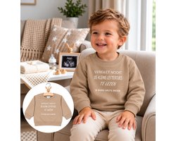 Trui Aankondiging zwangerschap lees altijd / vergeet nooit de kleine lettertjes te lezen / Ik word grote broer | beige | maat 80 zwangerschap aankondiging bekendmaking Baby big bro brother Grote Broer