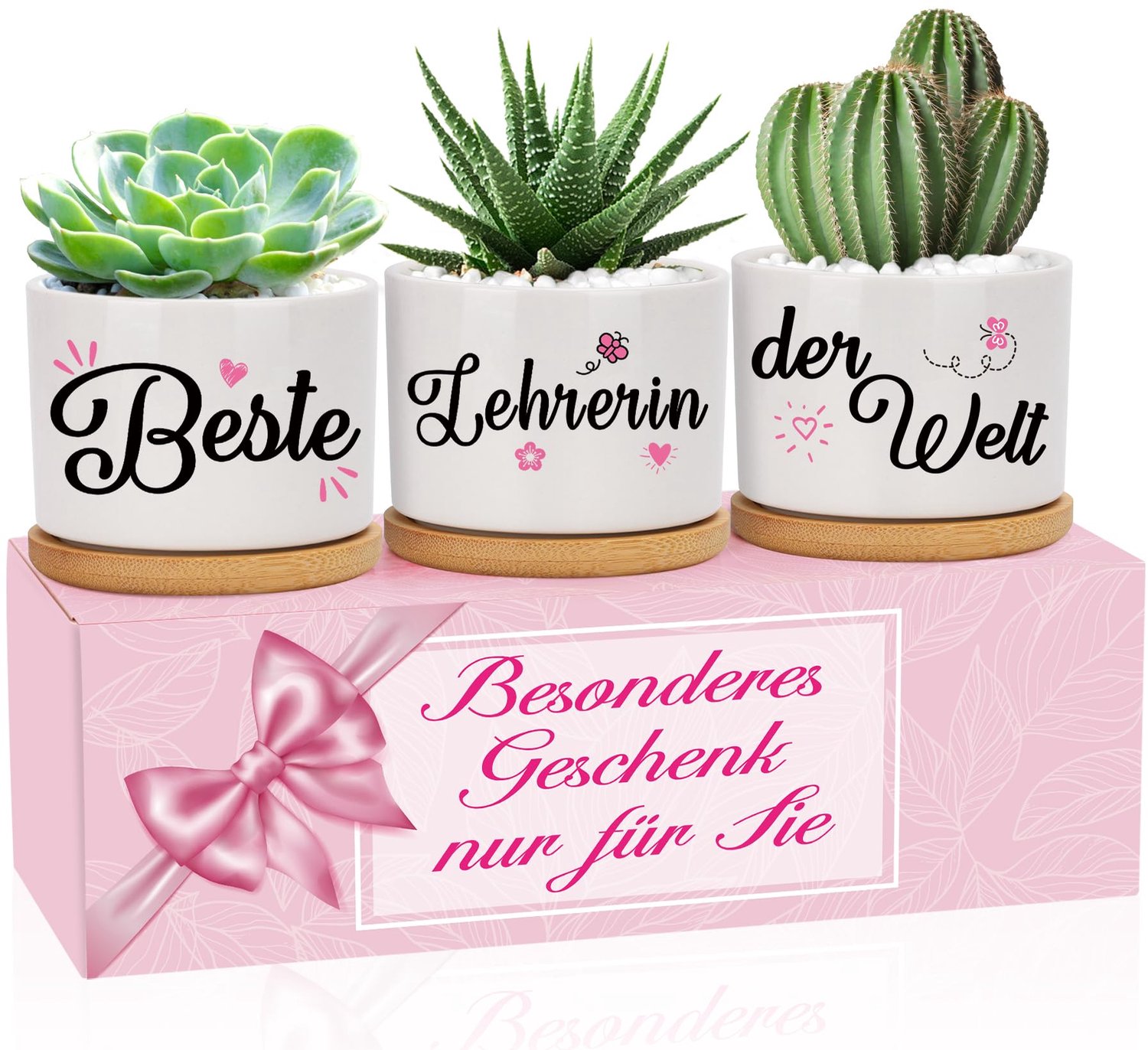 Lerarencadeau bloempotten - beste leraar ter wereld - cadeau voor lerares - ideaal bedankje - Vemera