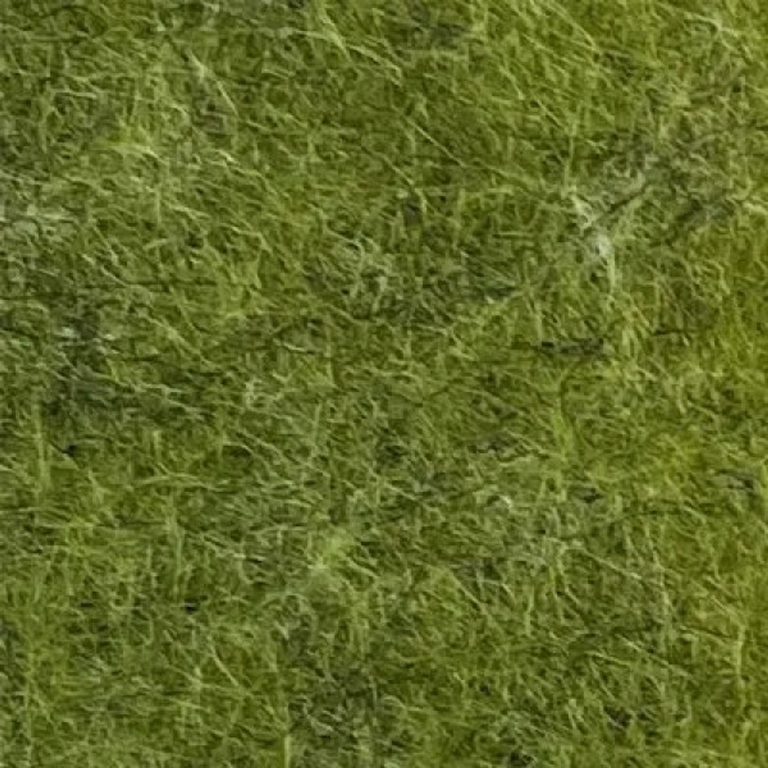 Infinitus vilten kap in rietgroen, 1200 mm lang en 9 mm dik, uit de Premium collectie.