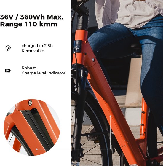DERUIZ Turmali Comfort E-bike Dames Heren- 28 inch- 360 Wh- 250 W- 40 Nm- Lage instap- Comfort City E-bike- GATES riemaandrijving- Gouden Uur Oranje — afbeelding 2