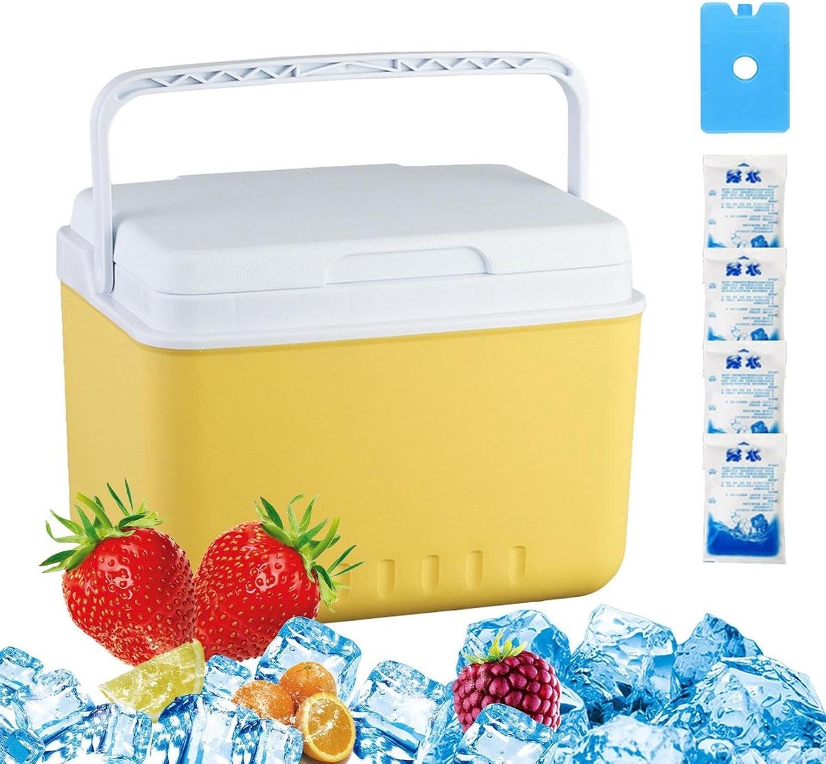Draagbare Koelbox - Isolatie Container - Buiten Kamperen - Lekvrije Opslag - 6 Liter Capaciteit - Blauw