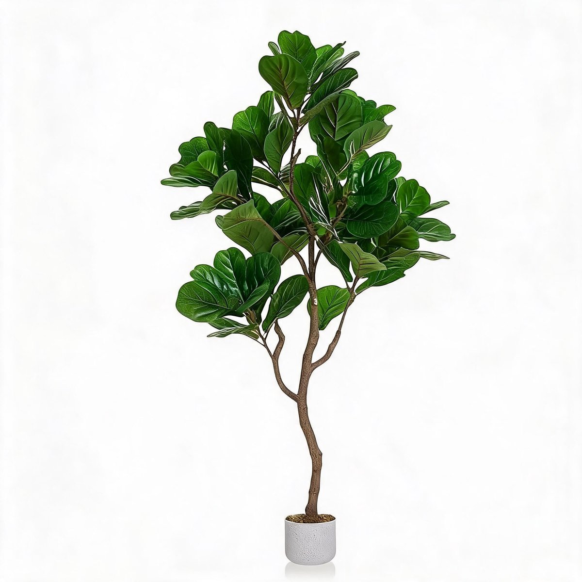 Danky Premium - 155cm luxe levensechte ficus lyrata kunstplant met witte pot en natuurlijke mosstam - hoogwaardige decoratie voor luxewoningen en commerciële ruimtes