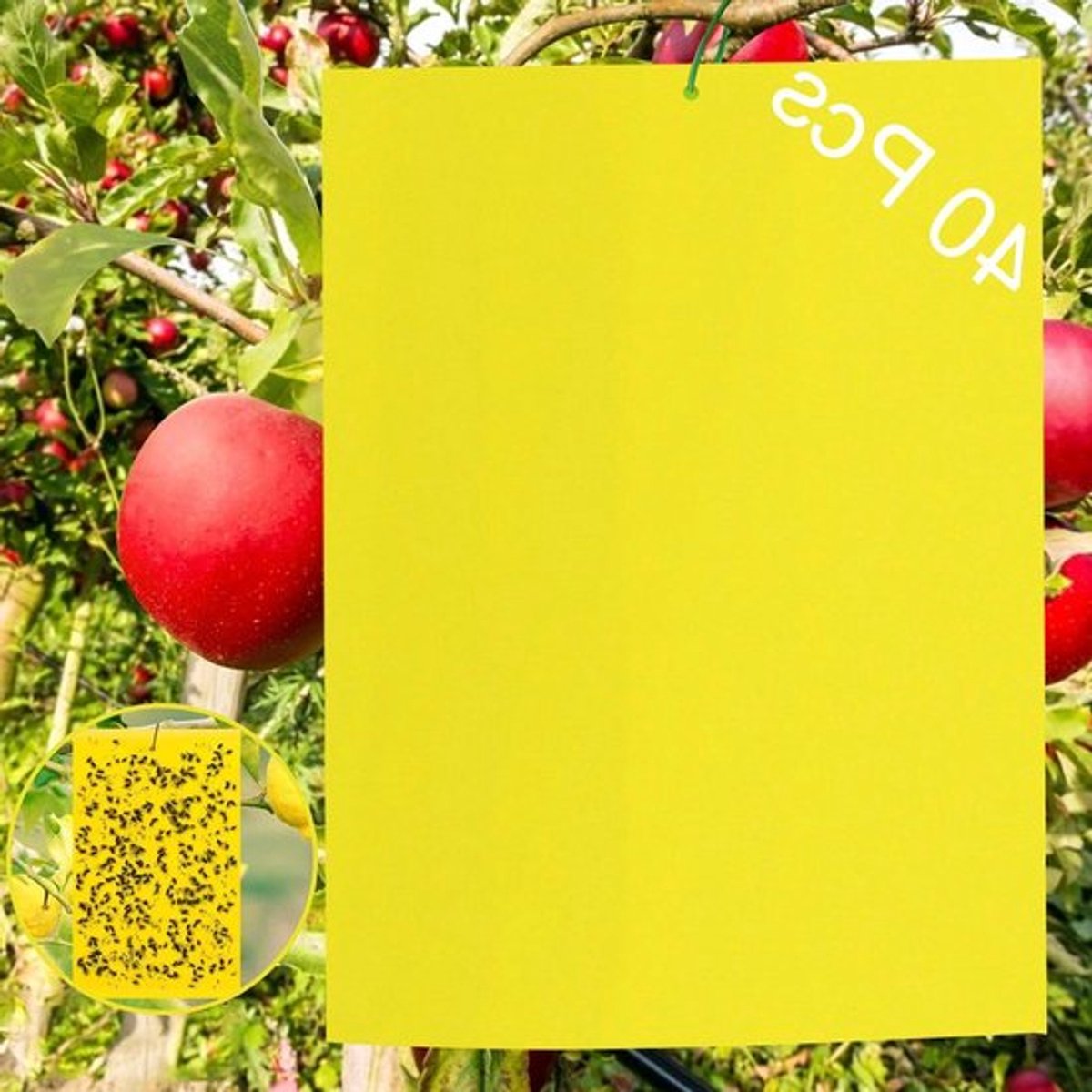 Gele Insectenval stickers 40 stuks - vang - Bestrijding - Bladluizen Nematoden - Wittevlieg - Bladluis vangers