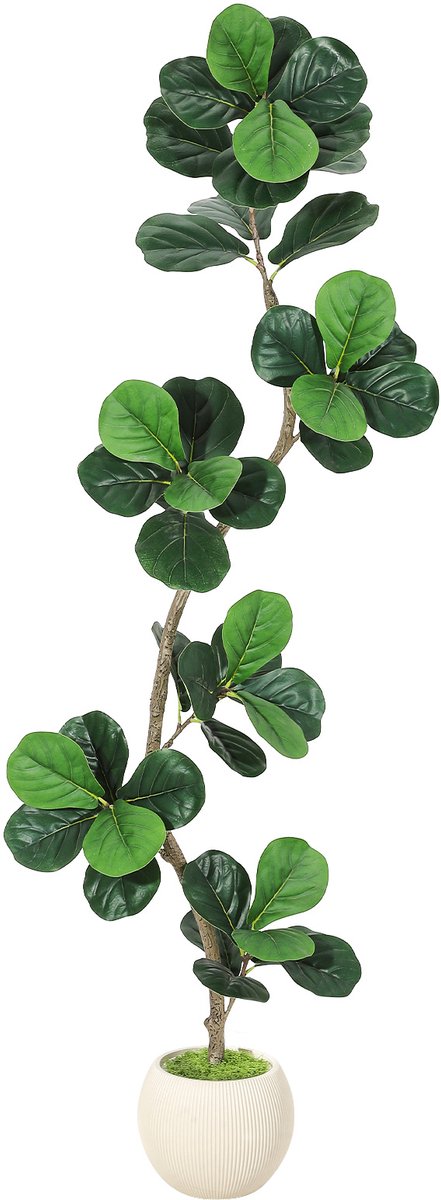 180cm Realistische kunst‑Vioolbladvijgboom – weelderige kunstvloerplant voor binnen met moderne witte sierpot en siermos – hoogwaardige kunstplant voor thuis, woonkamer en kantoor