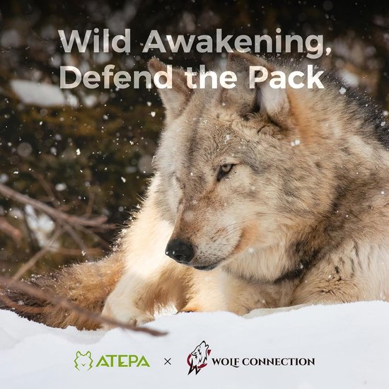 Donzen Slaapzak - Winter Slaapzak - Kamperen en Reizen - 3-in-1 Slaapsysteem - XXL 200x85 cm - Groen — afbeelding 3