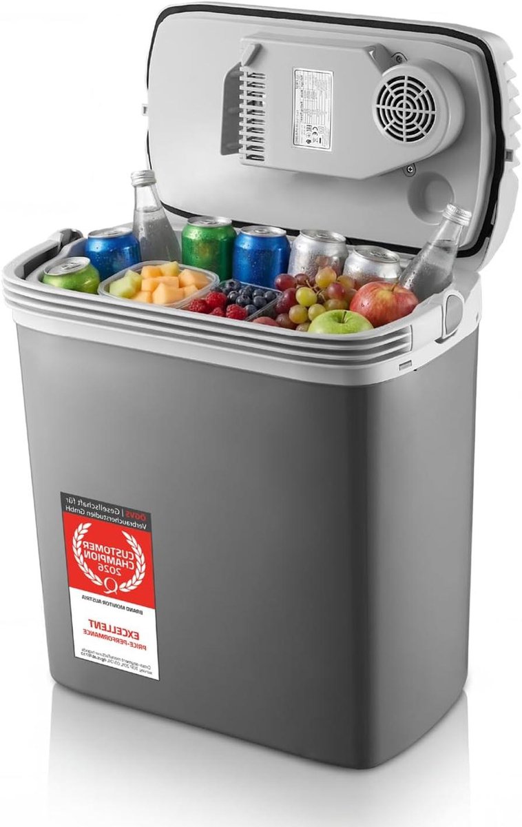 Elektrische Koelbox - Thermo-elektrische Koeler - Kamperen en Reizen - Drievoudige Stroomvoorziening - 19 Liter - Grijs