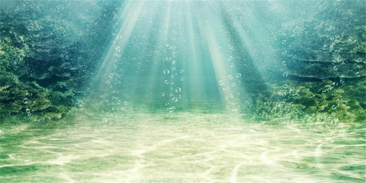 91x50cm Aquarium Achtergrond Aquatische Plant Bubbel Onderwater Oceaanbodem Vistank Poster Achtergrond Vinyl Achtergrond