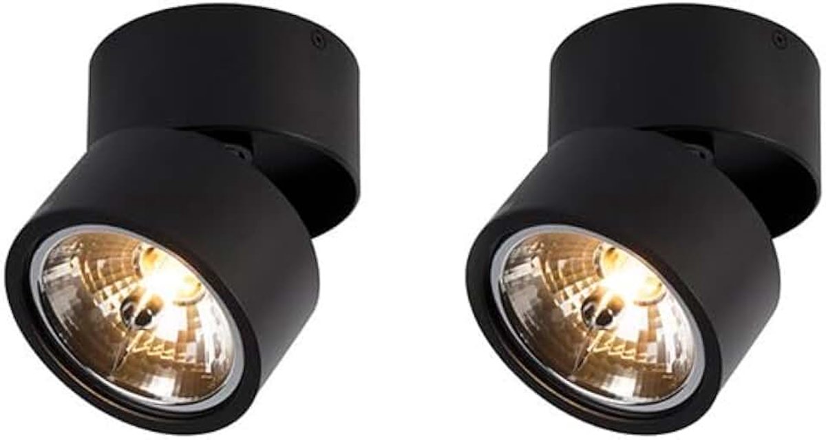 Industrieel Set van 2 spots zwart verstelbaar - Go Nine Tubo Aluminium Rond Geschikt voor LED Max. 2 x 40 Watt