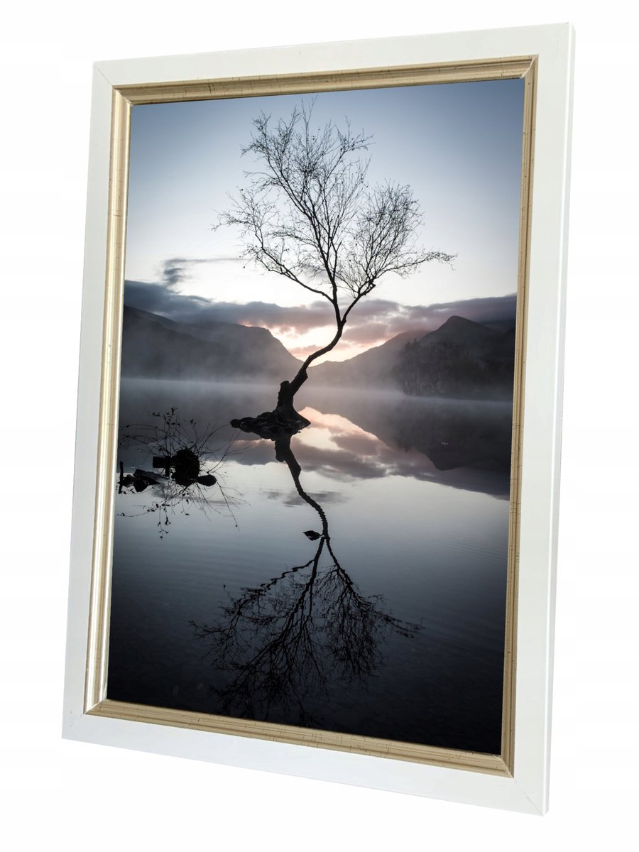 Houten Fotolijst FIONA 50x60 cm - Diverse Kleuren