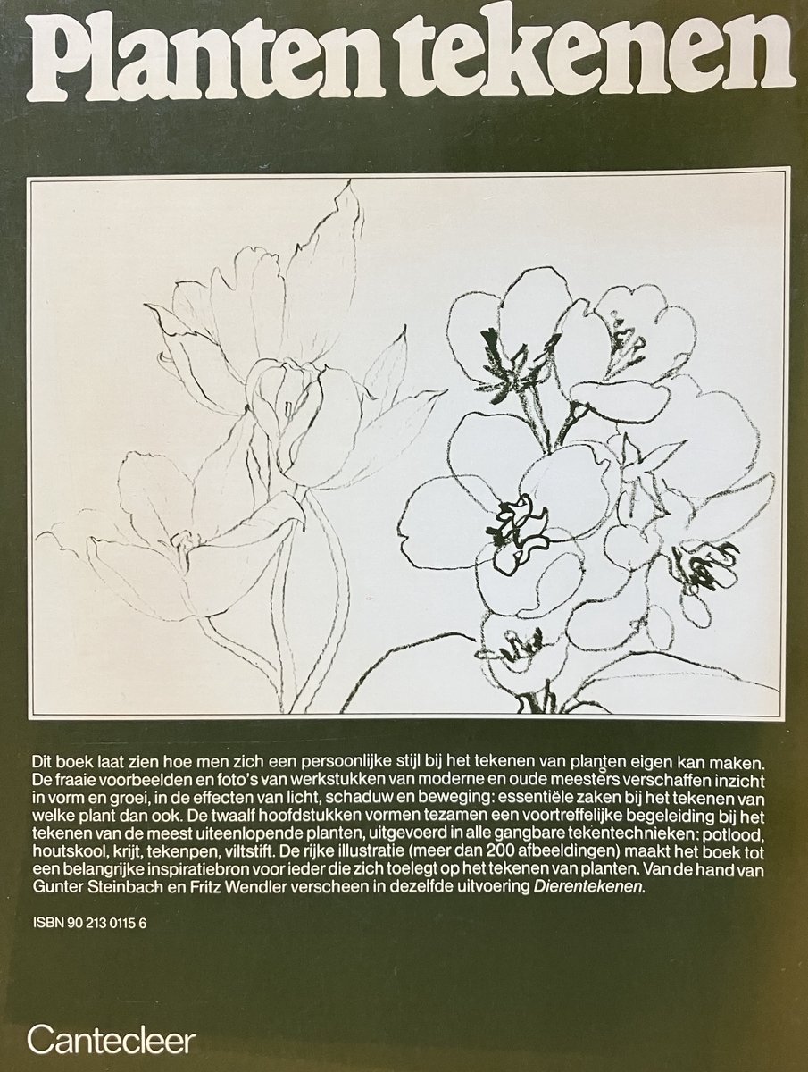 Planten tekenen: schets van bloemen op de cover.