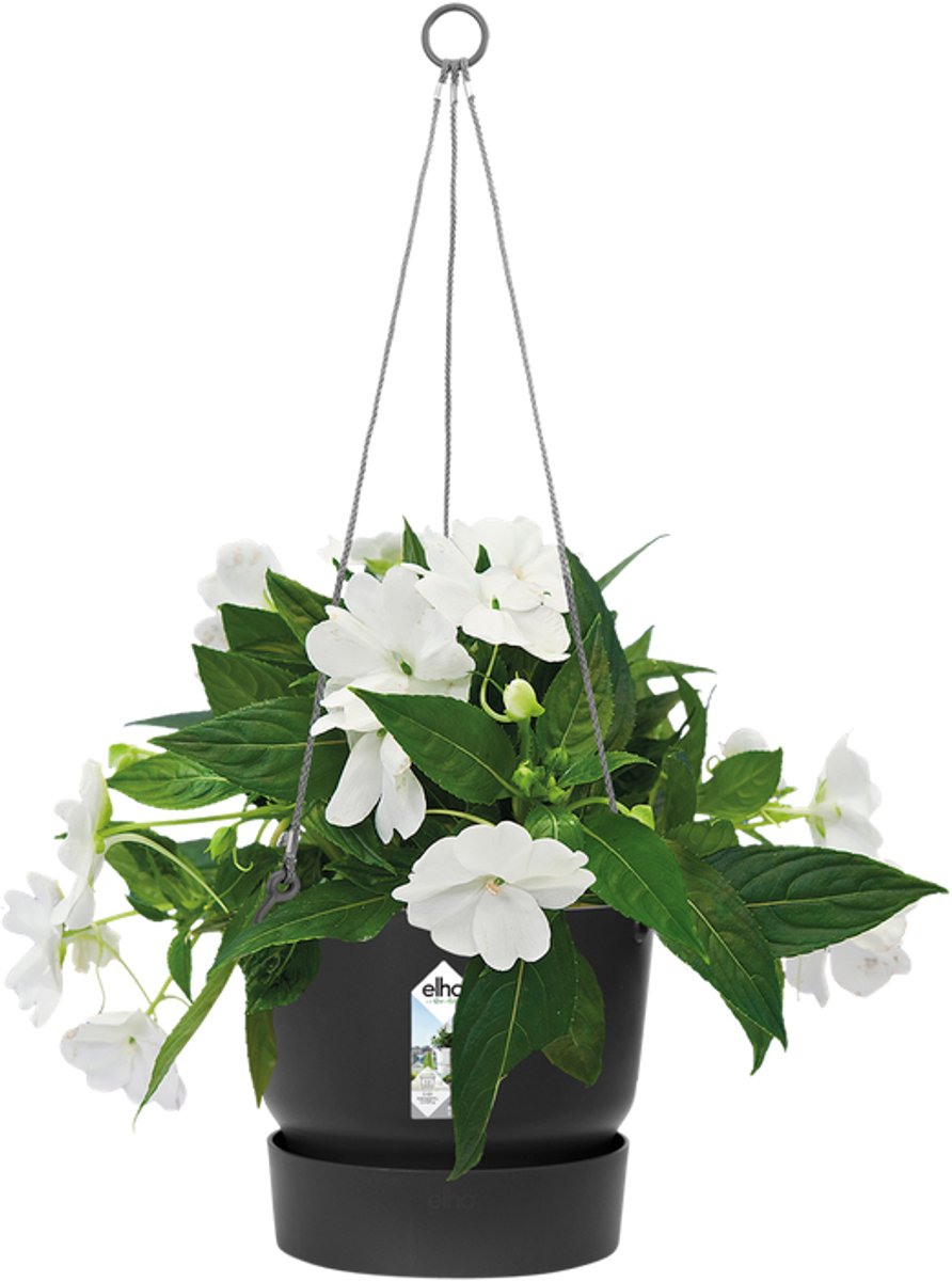 Elho Greenville Hanging Bowl 24 - Hanging Pot for Outdoor