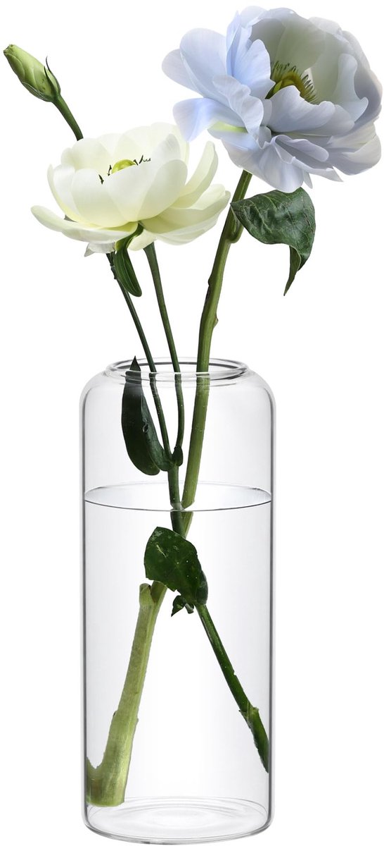 Dailygoods - Grote Glazen Vaasje voor Bloemen, Minimalistisch en Modern
