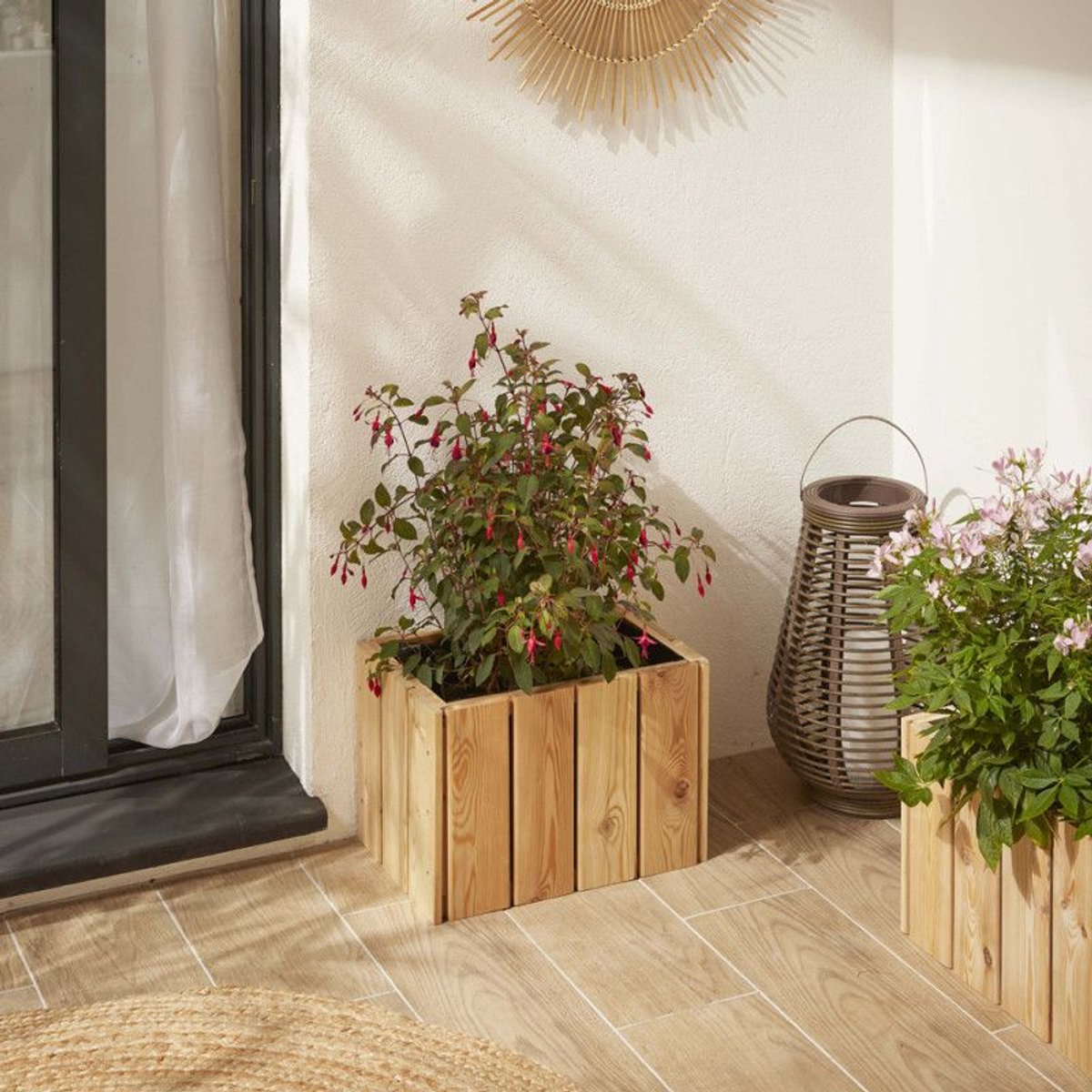 FOREST STYLE 005518