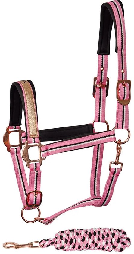 Roze halster met zwarte, witte en gouden strepen en koperkleurige gespen.