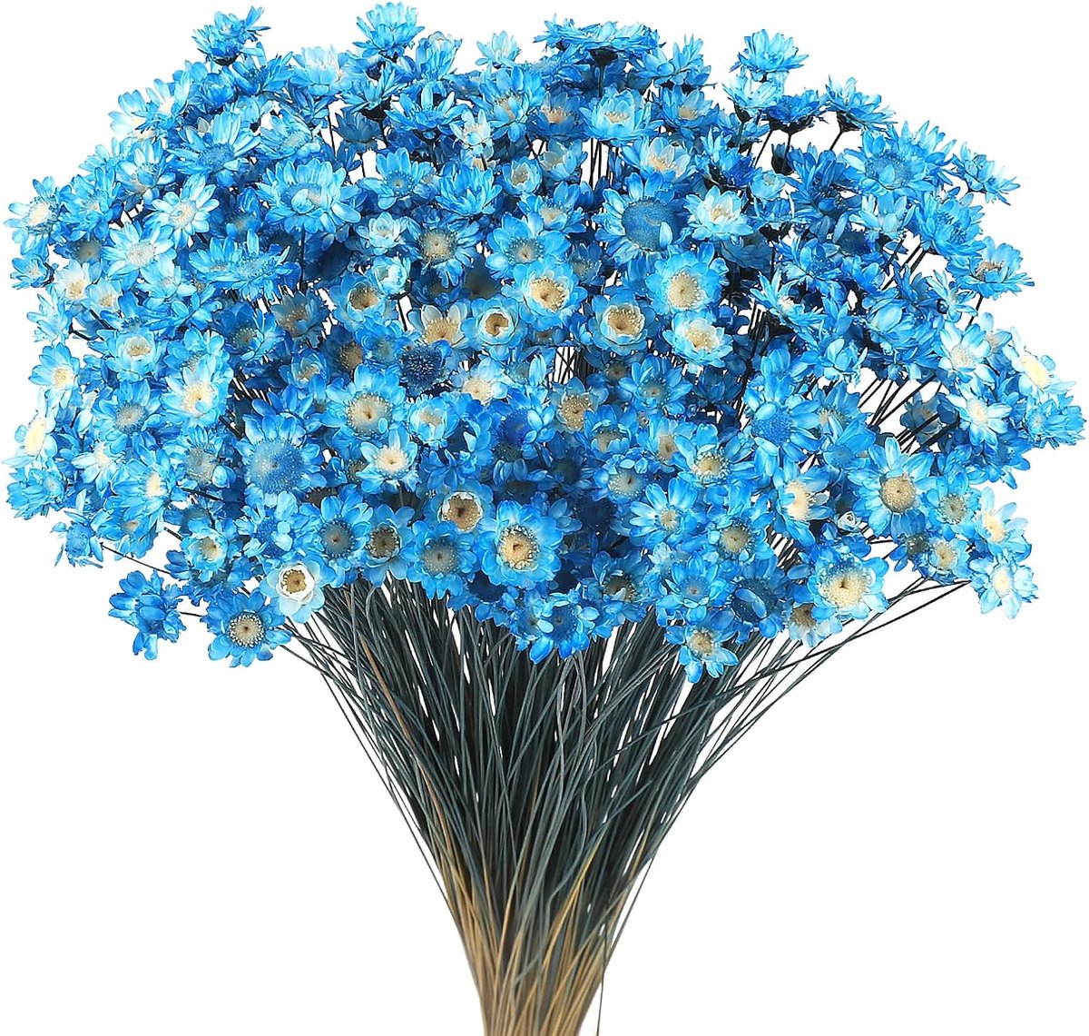 SnelShoppen - 300 stuks gedroogde bloemstelen, natuurlijke madeliefjes, mini-gedroogde bloemen, blauw boeket voor decoratie, rekwisieten, thuis & fees