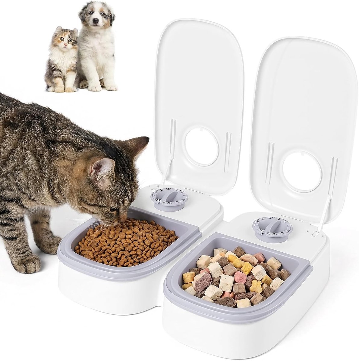 Automatische Kattenvoer - 2 Maaltijden 350 ML Kattenvoer - Automatische Voerdispenser Voor Katten Met Timer - Dubbele Voerbak Voor Katten En Kleine Honden