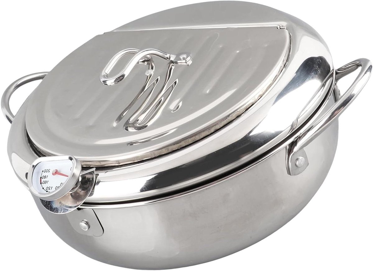 Mini Frituurpan - Friteuse Keukengerei - Thuis Frituren - Met Thermometer - 20 cm - Zilver