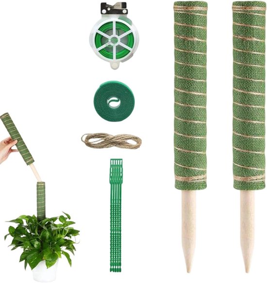 Mosstok Steun - Plantenondersteuning Standaard - Planten Laten Groeien - Herbruikbaar Natuurlijk Materiaal - 30 cm - Bruin