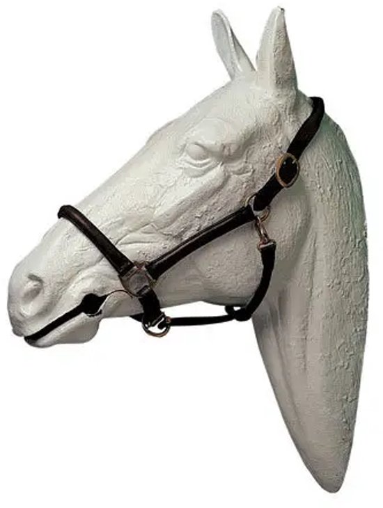 Lend voor paarden leer Hispano Hipica Lend voor paarden leer Hispano Hipica