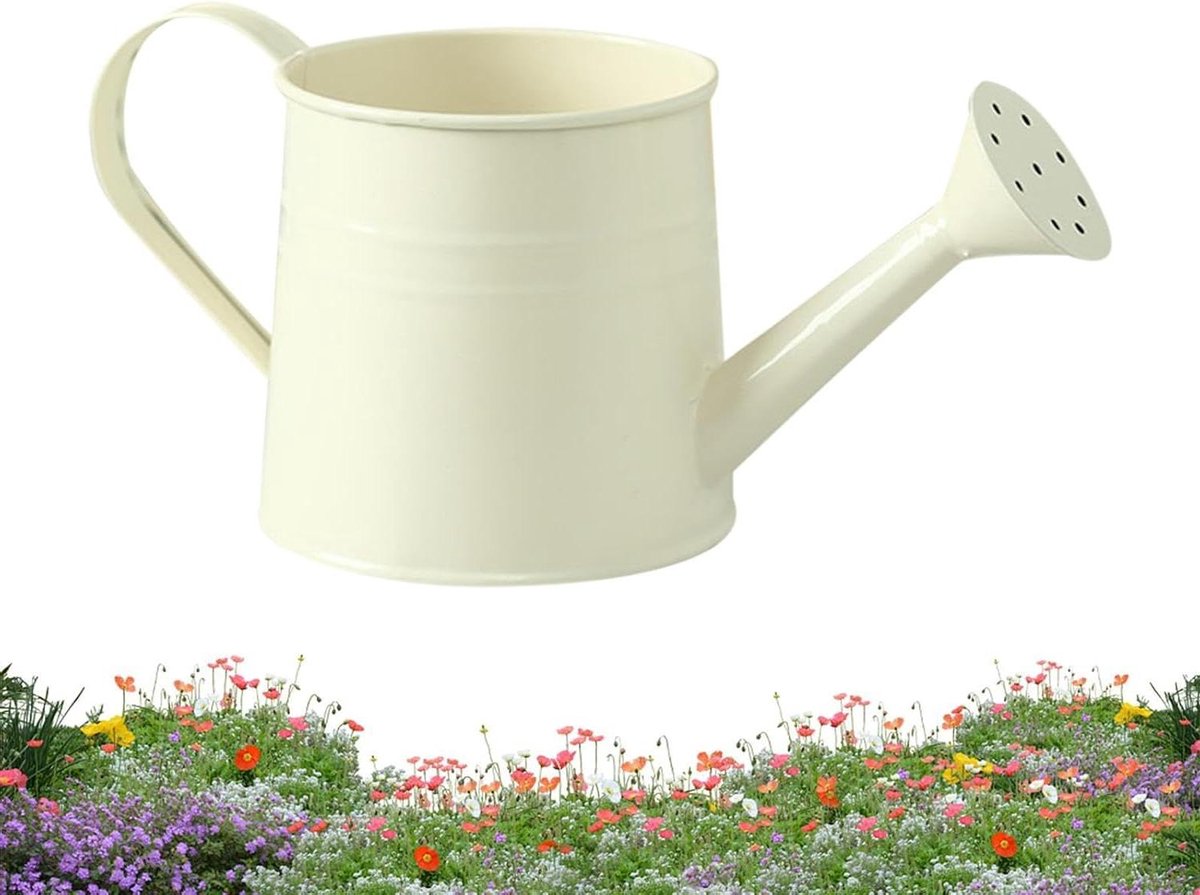 Gieter Kamerplanten - Sproeier Vaas - Planten Water Geven - Lange Uitloop - 1 Liter - Beige