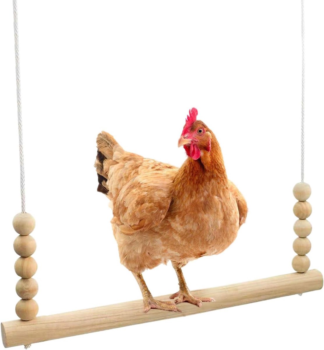 Kippenschommel - Speeltuig Vogel - Gedrag Stimuleren - Stabiele Constructie - 38 x 14 x 2.5 cm - Niet gespecificeerd